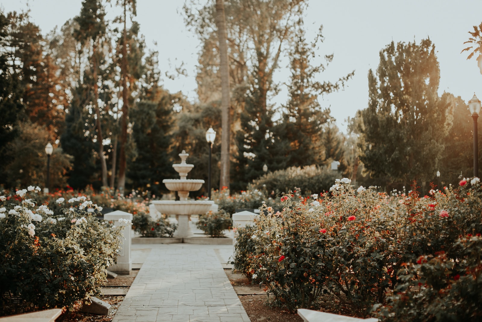 garden with outdoor fountain