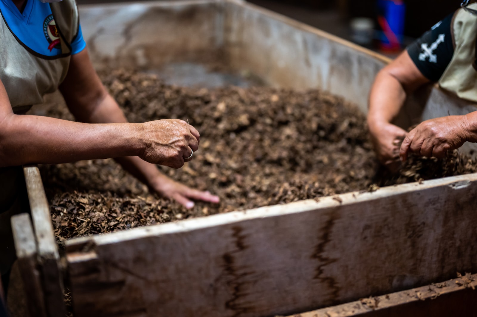 person holding brown soil in tilt shift lens